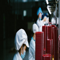 insulation worker portrait